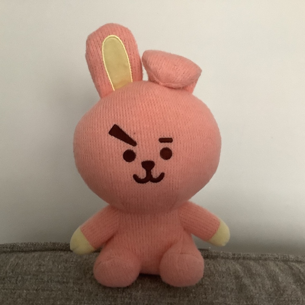 Small BT21 Pink Plush “Cooky”